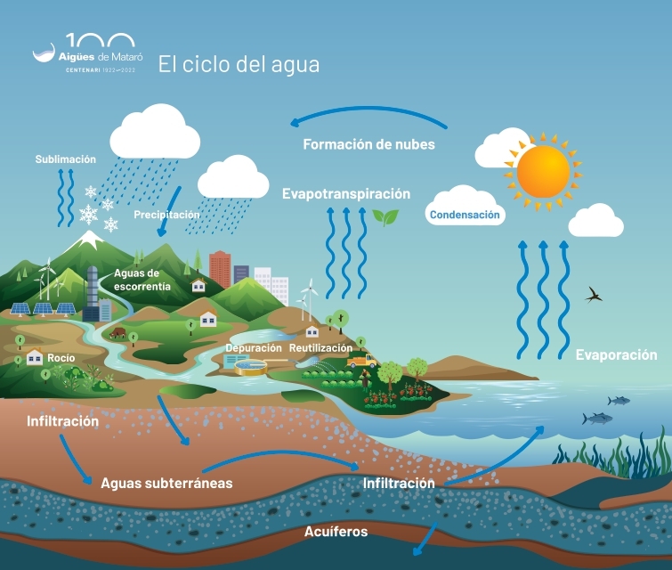 El ciclo natural del agua | Aigües de Mataró