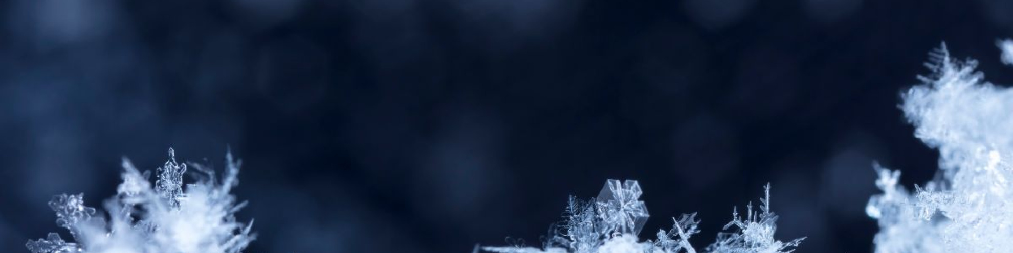 Detall de flocs de neu