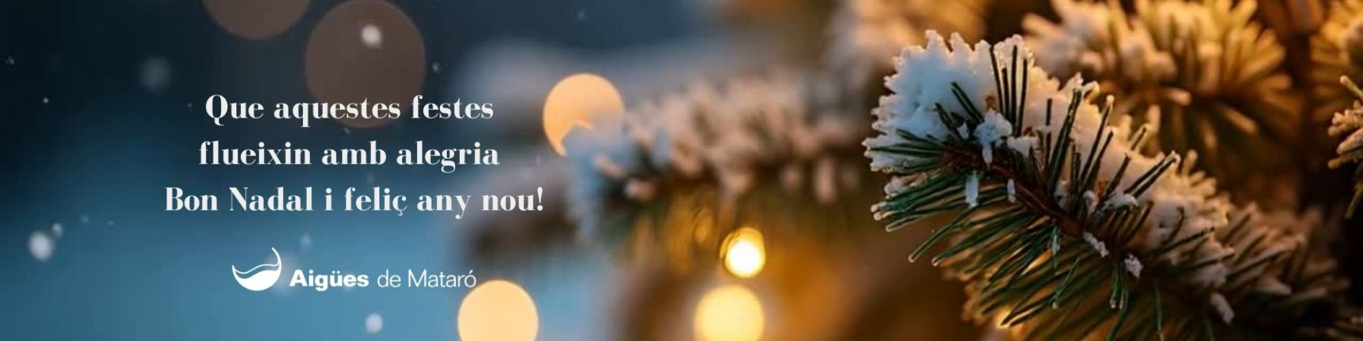 Imatge nadalenca amb el text "Que aquestes festes  flueixin amb alegria.  Bon Nadal i feliç any nou!"