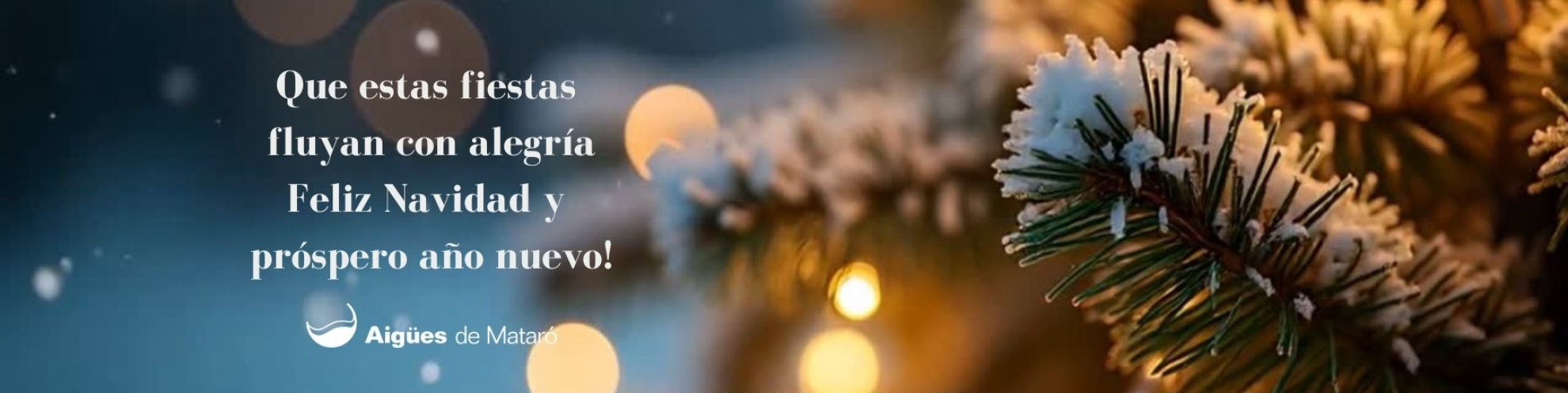 Imagen navideña con texto "Que estas fiestas  fluyan con alegría Feliz Navidad y  próspero año nuevo!"