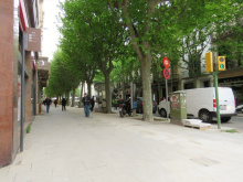La Rambla amb arbres a la dreta i acabada de pavimentar